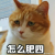 躲进你心里